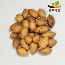 농부애뜻 비자열매 300g 국내산, 1팩