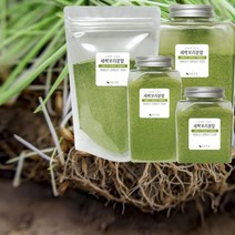 바른건강 제주 새싹보리분말100% 밀싹분말 보리새싹가루 국내산 국산 새싹보리분말, 480g, 1개