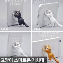 로우코스트 고양이 스마트폰 거치대, 옐로우, 1개