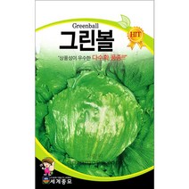 그린볼 양상추씨앗 양상추 씨앗 ( lettuce seed 2g )