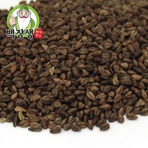 백장생 국내산 쓴메밀 (통메밀 흑메밀), 1kg, 1개