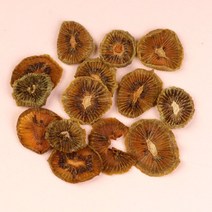 달곰베이킹 건조과일 키위, 1개, 15g