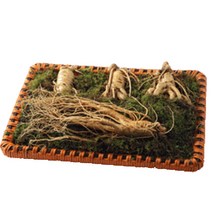 금산인삼 금산수삼선물세트 수삼, 1box, 수삼5호700g(4~5뿌리)