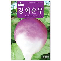 청농종묘 봄동 씨앗 20g 봄동씨 봄동씨앗 봄동배추 배추씨앗, 01_강화순무(2000립)