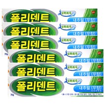 폴리덴트 의치부착재 내추럴 무향 70g, 1개입, 6개