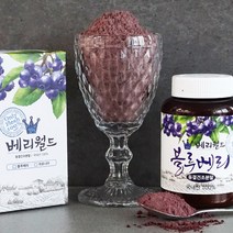 프레시데이 고창 블루베리 분말, 100g, 1병