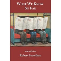 What We Know So Far Paperback, Blue Light Press