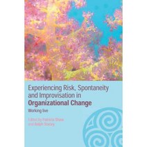 Experiencing Spontaneity Risk & Improvisation in Organizational Life: Working Live Paperback, Routledge