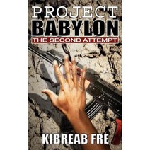 Project Babylon: The Second Attempt Paperback, New Generation Publishing