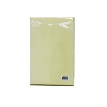 흥국산업 각대봉투 서류봉투 모음, 100매입, 19_레자크각대봉투(A4)미색
