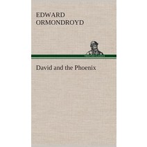 David and the Phoenix Hardcover, Tredition Classics