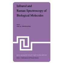 Infrared and Raman Spectroscopy of Biological Molecules: Proceedings of the NATO Advanced Study Instit..., Springer
