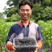 고창 아로니아 아로니아(특품) 꼭지제거 2023년수확, 10kg(2.5kgX4개), 1개