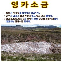 페루통상 잉카 굵은 소금 9kg 황토의 미네랄 간수 무공해 청정, 1개