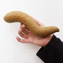 스투피드 대변 (25cm), 단품