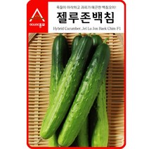 아시아종묘 오이씨앗 젤루존백침오이 (30립)