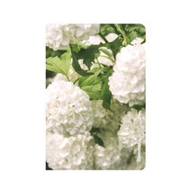 온프레임 반기 플래너, 겔더 로즈