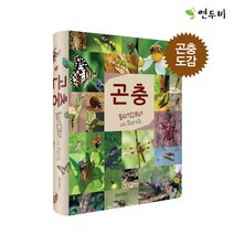 연두비 어린이 포켓 곤충 도감