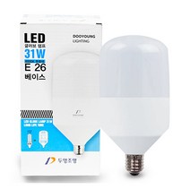 두영 할로겐대체형 보안등 LED 보안램프 모음 램프 전구 공장등 가로등, 두영 LED 글러브 램프 31W, 1개