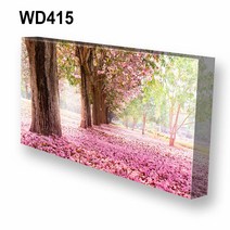 몽차 와이드 캔버스액자, WD415, 1개