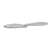 에이치아이씨 피쉬 스케일러, Stainless Steel, 1개