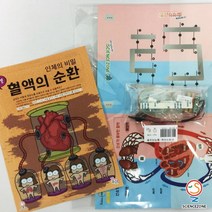 사이언스존 [꿈과-인체의 비밀-혈액의 순환 1인용] 과학실험 과학교구 과학실험키트 STEAM 학습교구