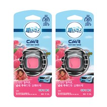 페브리즈 차량용 방향제, 다우니, 2개입, 1개
