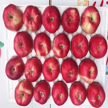 [고운사과]청송사과 꿀 사과 22년도 햇사과 가정용 선물용, 1box, 3번10kg 36~42과내외(알뜰형중과)