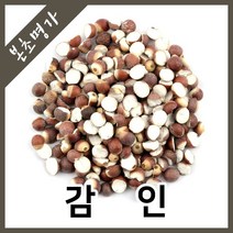 본초명가 감인 가시연꽃씨, 600g, 1개