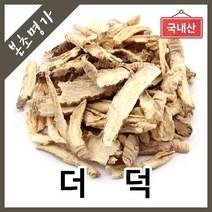 본초명가 더덕 사삼 말린더덕, 1개, 300g