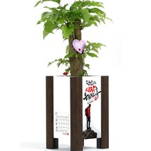 미나의정원 준중형 메세지 액자화분, 04 참애썼다