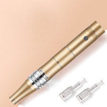 (해외직배송)Jamong sonyeo MTS 마이크로 니들 테라피 피부재생관리기 피부관리기기, 골드, 본체