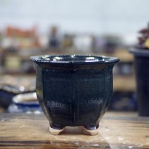 제이팟다육 칼라 8각 다육화분 진녹 예쁜 다육이 선인장 화분 미니 도자기화분