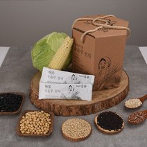 농부의딸 송윤주 선식 30gx30봉, 1개