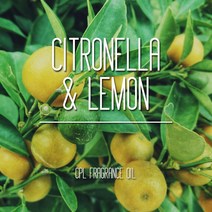 별님아씨 명가 영국 CPL FO 프래그런스 오일 100ml, 시트로넬라 & 레몬