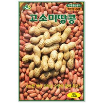 땅콩 고소미땅콩씨앗 30g 땅콩씨앗, 1개