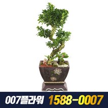 가지마루 (배송비포함), 1개