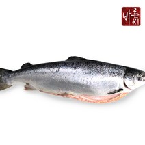 [HACCP인증]바른씨 노르웨이 생연어 한마리 (원물 6-7kg), 02_연어 한마리 4kg필렛 손질