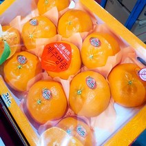 달달과수원 달달한 레드향 선물세트 3kg 특품, 1박스