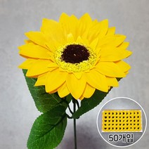 비누꽃 해바라기 50개입   잎사귀꽃대, 노랑
