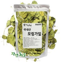자연365 국내산 모링가잎 20g ~ 300g, 100g, 1개