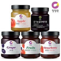 청정원 과일잼 쨈 370gx2개 4종선택 혼합가능, 1개, 07 포도잼1+딸기잼1
