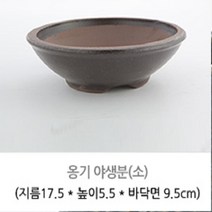 옹기화분 02.1 옹기 야생분-소