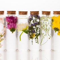 [캔들이케아] 프리미엄 하바플라리움 하바리움용액, 하바리움용액 100ml