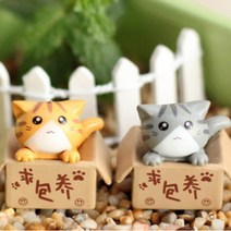 그린테라피 피규어 1개 마리모 장식 꾸미기, 박스고양이(색상랜덤)