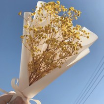 월드무역 안개꽃 드라이플라워 프리저브드꽃다발 꽃다발 생화, 옐로우