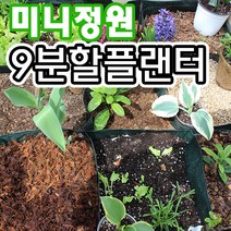 [조이가든] 9분할 채소 플랜터