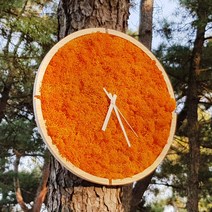 스칸디아모스 시계 [숲앤숨]원형 모스 벽시계 (30cm) - 어텀