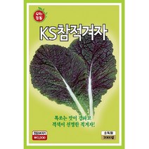 씨앗 참적겨자 2000립