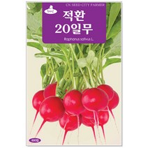 청농종묘 강화 순무 씨앗 2000립 채소씨앗 무씨앗 무씨, 08_적환20일무(600립)